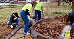 Baratto_Amministrativo