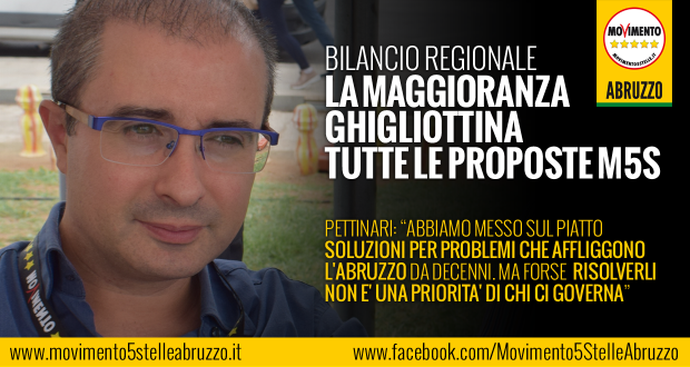 m5s_pettinari