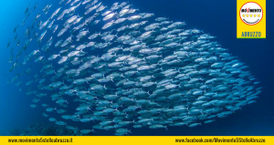 Pesca_sostenibile