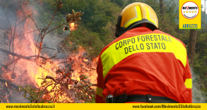 soppressione_forestale