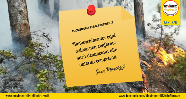 rimboschimento