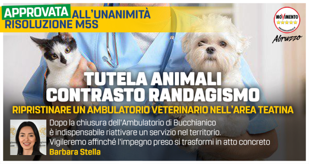 2019_11_29_Stella_ambVeterinario_MAXIPOST