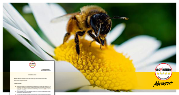 InsettiImpollinatori