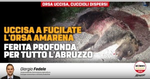 IMG_20230901_114413_483